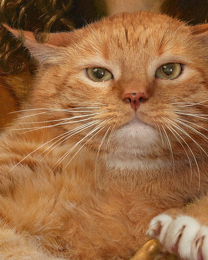 Albrecht Dürer, Self-portrait with the furball, detail